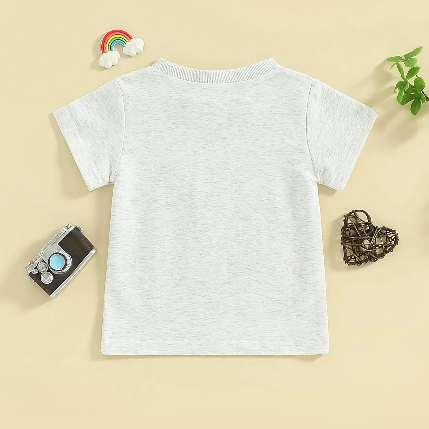 Dcohmch Big Brother Little Sister Matching Outfits Letter Embroidery Shirt Tops Summer Baby Boy Girl Clothes